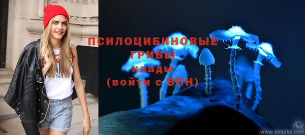 PSILOCYBIN Белоозёрский