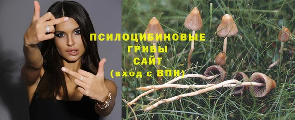 кокаин Белокуриха