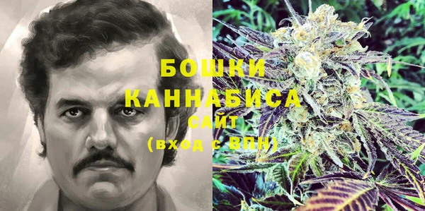 PSILOCYBIN Белоозёрский